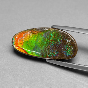 Ammolite Multicolore naturelle Forme fantaisie, 6.03 ct, Opaque