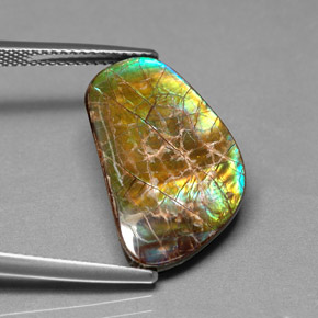 Ammolite multicolore naturelle forme fantaisie, 9,00 ct, opaque