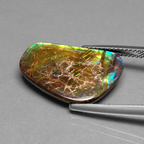 Ammolite multicolore naturelle forme fantaisie, 9,00 ct, opaque