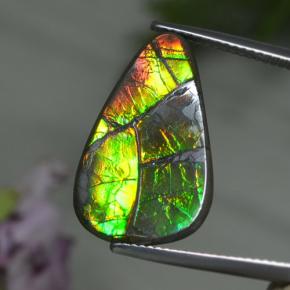 Ammolite multicolore naturelle forme fantaisie, 8,39 ct, opaque