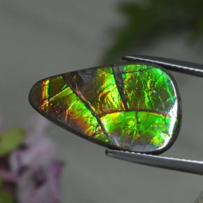 Ammolite multicolore naturelle forme fantaisie, 8,39 ct, opaque