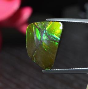 Ammolite multicolore naturelle forme fantaisie, 6,67 ct, opaque