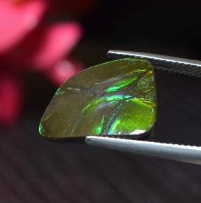 Ammolite multicolore naturelle forme fantaisie, 6,67 ct, opaque