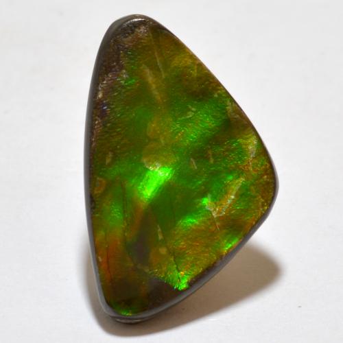 Ammolite multicolore naturelle forme fantaisie, 7,10 ct, opaque
