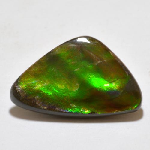Ammolite multicolore naturelle forme fantaisie, 7,10 ct, opaque