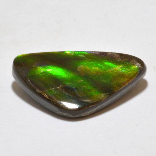 Ammolite multicolore naturelle forme fantaisie, 7,10 ct, opaque