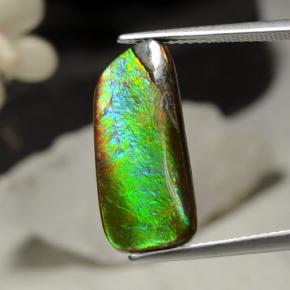 Ammolite multicolore naturelle forme fantaisie, 5,29 ct, opaque