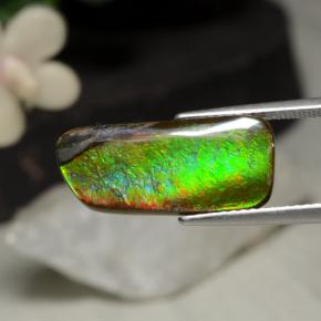 Ammolite multicolore naturelle forme fantaisie, 5,29 ct, opaque