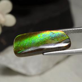 Ammolite multicolore naturelle forme fantaisie, 5,29 ct, opaque