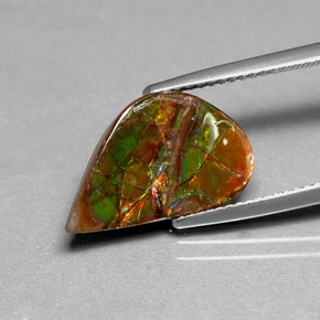 Ammolite multicolore naturelle forme fantaisie, 3,59 ct, opaque