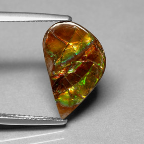 Ammolite multicolore naturelle forme fantaisie, 3,59 ct, opaque