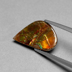 Ammolite multicolore naturelle forme fantaisie, 3,59 ct, opaque