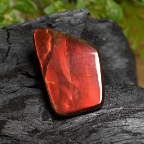 Ammolite Multicolore naturelle Forme fantaisie, 6.67 ct, Opaque