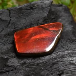 Ammolite Multicolore naturelle Forme fantaisie, 6.67 ct, Opaque