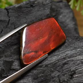 Ammolite Multicolore naturelle Forme fantaisie, 6.67 ct, Opaque