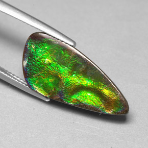 Ammolite Multicolore naturelle Forme fantaisie, 6.97 ct, Opaque