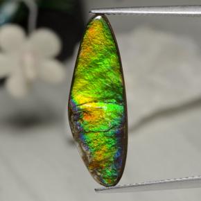 Ammolite multicolore naturelle forme fantaisie, 5,43 ct, opaque