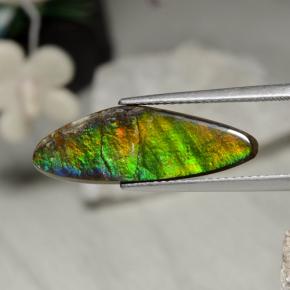 Ammolite multicolore naturelle forme fantaisie, 5,43 ct, opaque