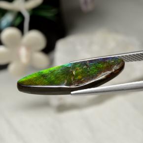 Ammolite multicolore naturelle forme fantaisie, 5,43 ct, opaque