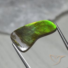 Ammolite Multicolore naturelle Fantaisie, 7.43 ct, Opaque