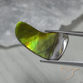 Ammolite Multicolore naturelle Fantaisie, 7.43 ct, Opaque