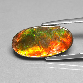 Ammolite Multicolore naturelle Forme fantaisie, 6.13 ct, Opaque