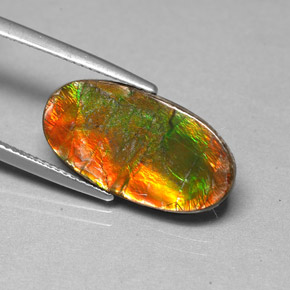 Ammolite Multicolore naturelle Forme fantaisie, 6.13 ct, Opaque