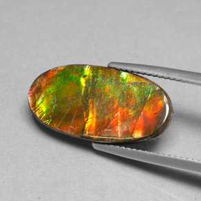 Ammolite Multicolore naturelle Forme fantaisie, 6.13 ct, Opaque