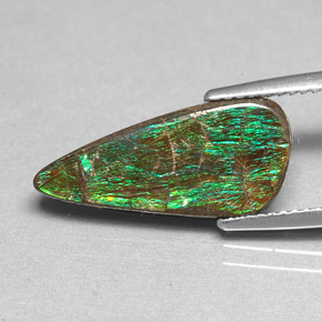 Ammolite multicolore naturelle forme fantaisie, 3,88 ct, opaque