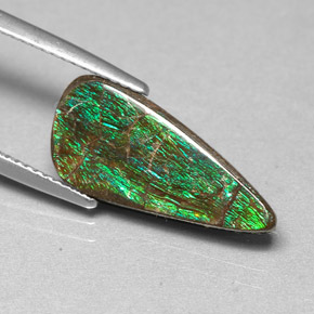 Ammolite multicolore naturelle forme fantaisie, 3,88 ct, opaque