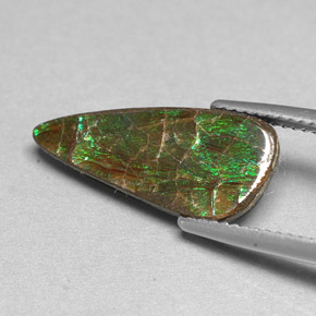 Ammolite multicolore naturelle forme fantaisie, 3,88 ct, opaque