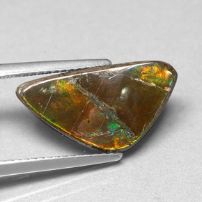 Ammolite Multicolore naturelle Forme fantaisie, 3.46 ct, Opaque