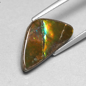 Ammolite Multicolore naturelle Forme fantaisie, 3.46 ct, Opaque