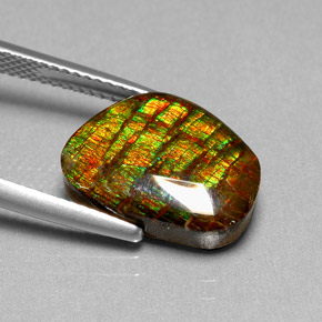 Ammolite multicolore naturelle forme fantaisie, 6,74 ct, opaque