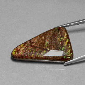 Ammolite Multicolore naturelle Forme fantaisie, 31.62 ct, Opaque