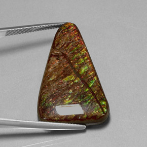 Ammolite Multicolore naturelle Forme fantaisie, 31.62 ct, Opaque