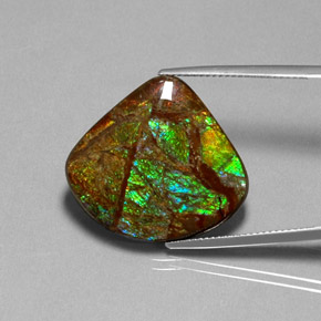 Ammolite multicolore naturelle forme fantaisie, 18,68 ct, opaque