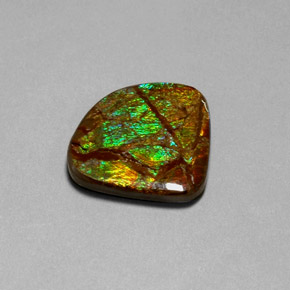 Ammolite multicolore naturelle forme fantaisie, 18,68 ct, opaque