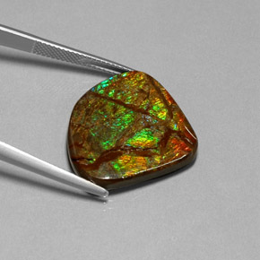 Ammolite multicolore naturelle forme fantaisie, 18,68 ct, opaque