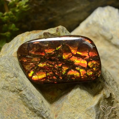 17.42ct Naturel Multicolore Ammolite, Fantaisie, Opaque