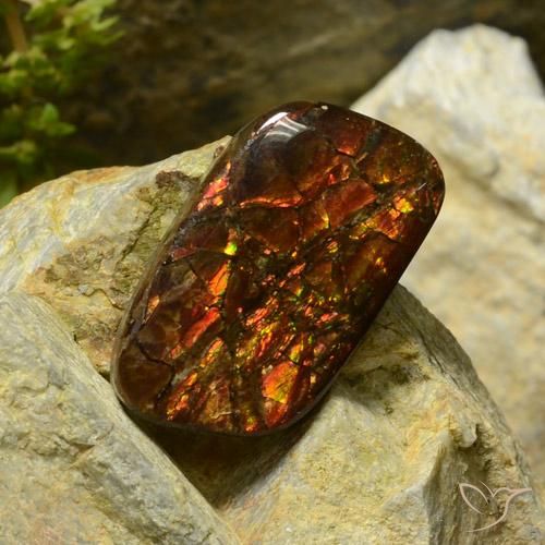Ammolite Multicolore naturelle Fantaisie, 17.42 ct, Opaque