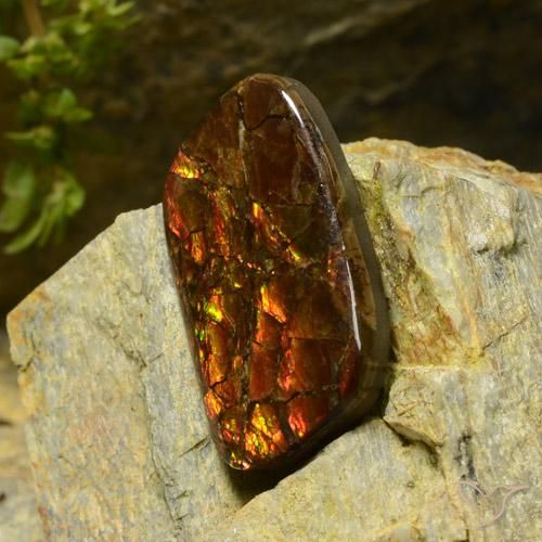 Ammolite Multicolore naturelle Fantaisie, 17.42 ct, Opaque