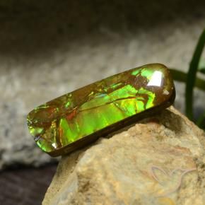 Ammolite Multicolore naturelle Fantaisie, 17.42 ct, Opaque