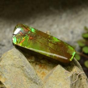 Ammolite Multicolore naturelle Fantaisie, 17.42 ct, Opaque