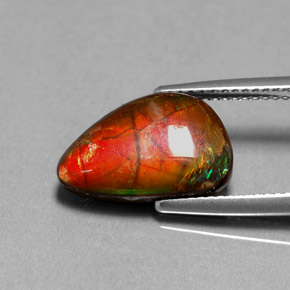 Ammolite multicolore naturelle forme fantaisie, 4,85 ct, opaque