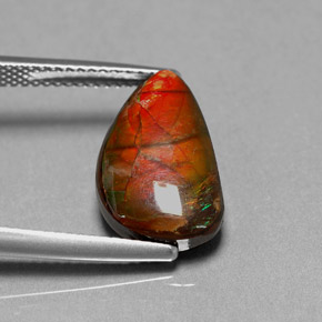 Ammolite multicolore naturelle forme fantaisie, 4,85 ct, opaque