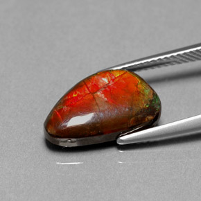 Ammolite multicolore naturelle forme fantaisie, 4,85 ct, opaque