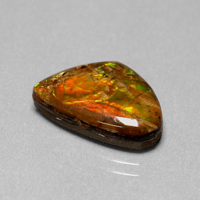 Ammolite multicolore naturelle forme fantaisie, 5,71 ct, opaque