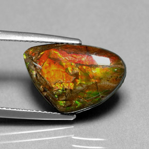 Ammolite multicolore naturelle forme fantaisie, 5,71 ct, opaque
