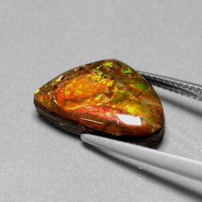 Ammolite multicolore naturelle forme fantaisie, 5,71 ct, opaque